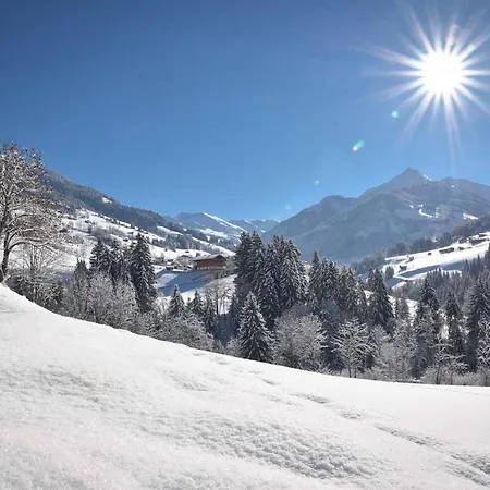 Haus Frei-nagele 阿尔卑巴赫