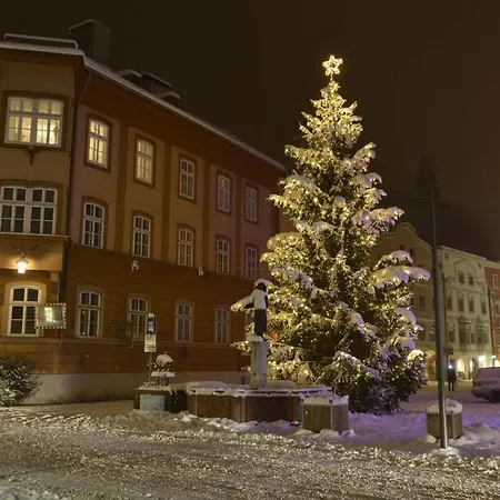 Haus Frei-nagele 阿尔卑巴赫