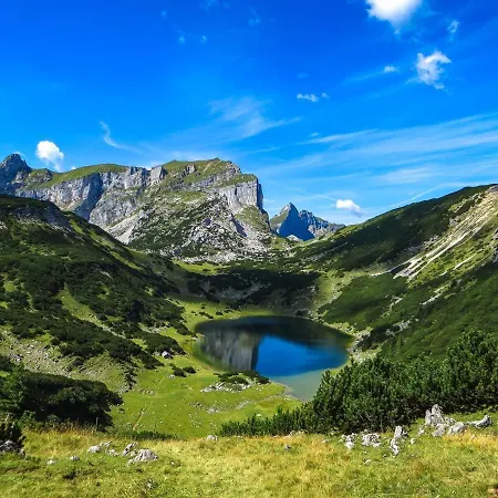 Haus Frei-nagele 公寓 阿尔卑巴赫