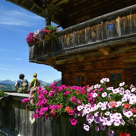 Haus Frei-nagele 公寓