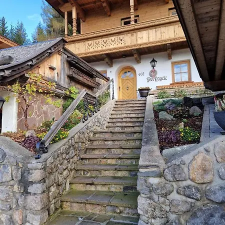 Haus Frei-nagele 阿尔卑巴赫