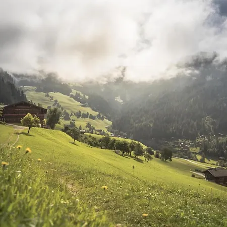 Haus Frei-nagele * Alpbach